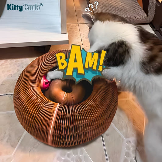 Cat toy